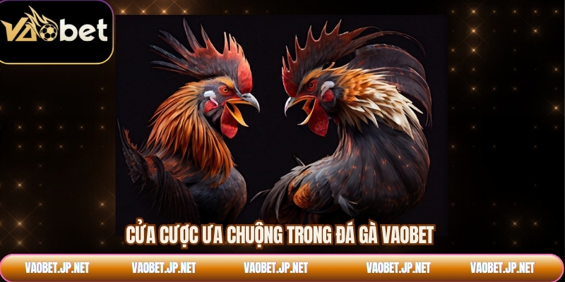 Cửa cược ưa chuộng trong đá gà VAOBET