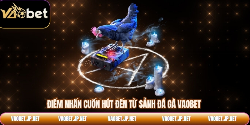 Điểm nhấn cuốn hút đến từ sảnh đá gà VAOBET