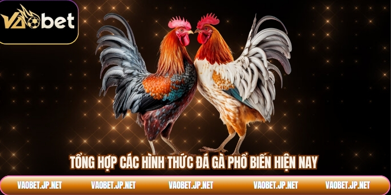 Tổng hợp các hình thức đá gà phổ biến hiện nay